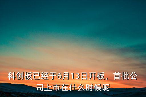 科創(chuàng)板已經(jīng)于6月13日開板，首批公司上市在什么時候呢