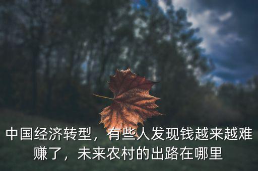 中國(guó)經(jīng)濟(jì)轉(zhuǎn)型，有些人發(fā)現(xiàn)錢(qián)越來(lái)越難賺了，未來(lái)農(nóng)村的出路在哪里