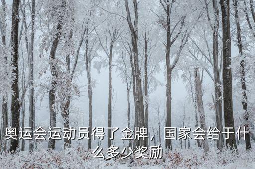 奧運會運動員得了金牌，國家會給于什么多少獎勵