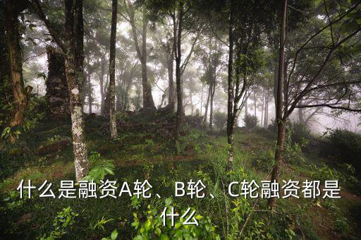 什么是融資A輪、B輪、C輪融資都是什么