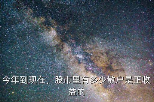 今年到現(xiàn)在，股市里有多少散戶是正收益的