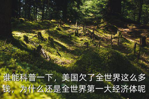誰(shuí)能科普一下，美國(guó)欠了全世界這么多錢，為什么還是全世界第一大經(jīng)濟(jì)體呢