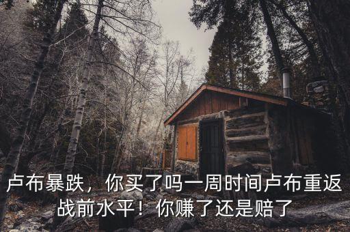 盧布暴跌，你買了嗎一周時(shí)間盧布重返戰(zhàn)前水平！你賺了還是賠了