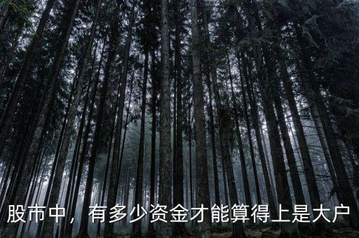 股市中，有多少資金才能算得上是大戶