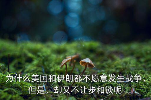 為什么美國和伊朗都不愿意發(fā)生戰(zhàn)爭，但是，卻又不讓步和談呢
