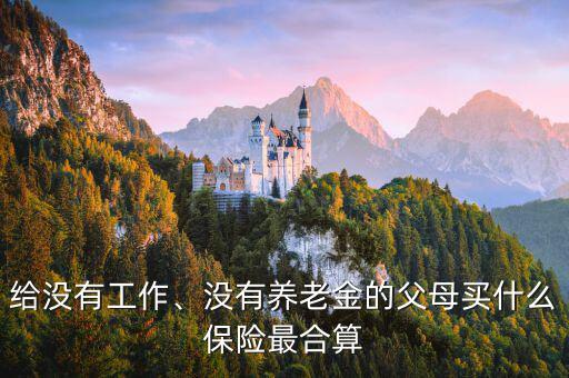 給沒(méi)有工作、沒(méi)有養(yǎng)老金的父母買什么保險(xiǎn)最合算
