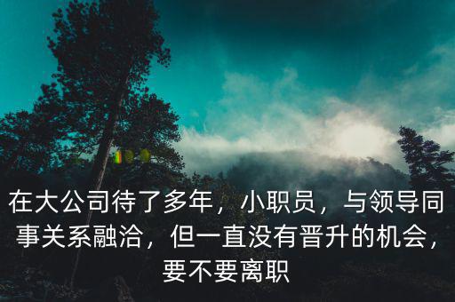 在大公司待了多年，小職員，與領(lǐng)導(dǎo)同事關(guān)系融洽，但一直沒有晉升的機(jī)會(huì)，要不要離職