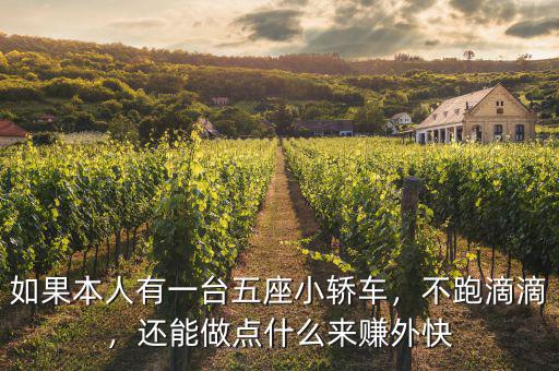 如果本人有一臺五座小轎車，不跑滴滴，還能做點(diǎn)什么來賺外快
