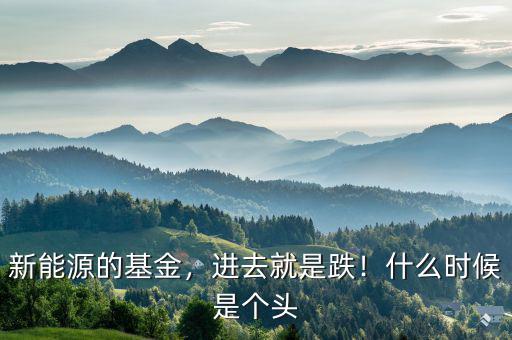 新能源的基金，進去就是跌！什么時候是個頭