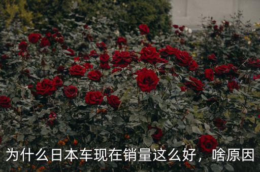 為什么日本車現(xiàn)在銷量這么好，啥原因