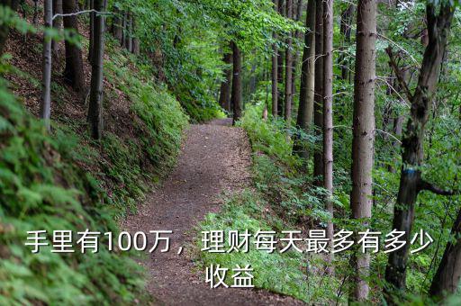 手里有100萬，理財(cái)每天最多有多少收益