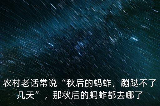 農(nóng)村老話常說“秋后的螞蚱，蹦跶不了幾天”，那秋后的螞蚱都去哪了