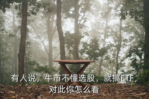 有人說，牛市不懂選股，就搞ETF，對(duì)此你怎么看