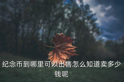 紀(jì)念幣到哪里可以出售怎么知道賣多少錢(qián)呢