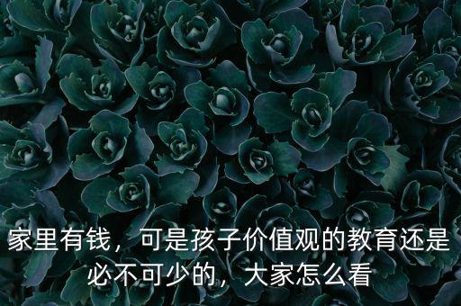 家里有錢，可是孩子價(jià)值觀的教育還是必不可少的，大家怎么看