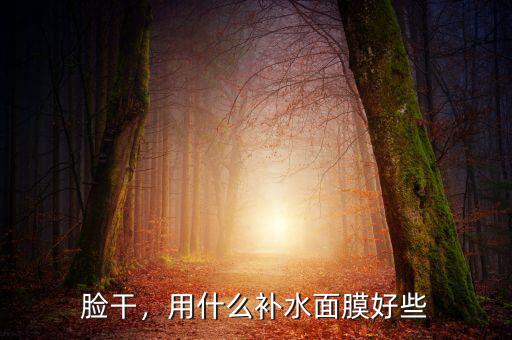 臉干，用什么補(bǔ)水面膜好些
