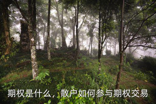 期權(quán)是什么，散戶如何參與期權(quán)交易