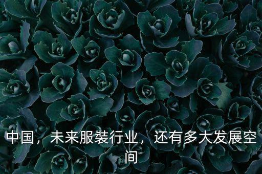中國，未來服裝行業(yè)，還有多大發(fā)展空間