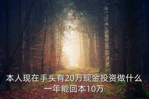 現在有20萬怎么投資,現在有20萬
