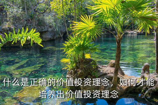 什么是正確的價(jià)值投資理念，如何才能培養(yǎng)出價(jià)值投資理念