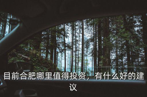 目前合肥哪里值得投資，有什么好的建議