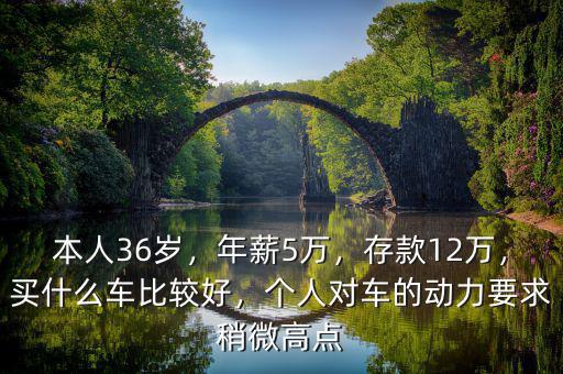 本人36歲，年薪5萬，存款12萬，買什么車比較好，個人對車的動力要求稍微高點