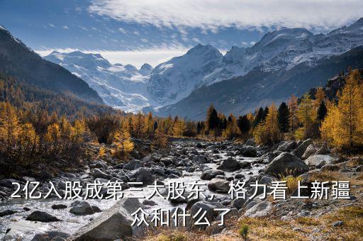 2億入股成第三大股東，格力看上新疆眾和什么了