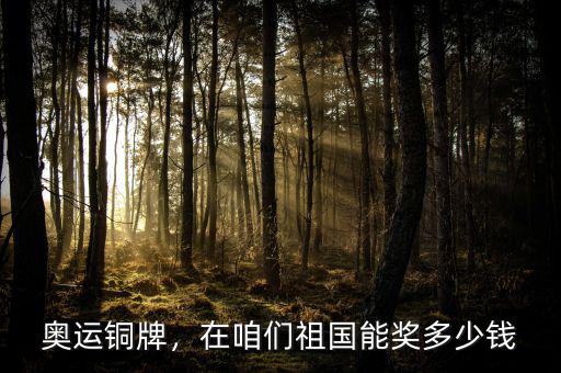 奧運銅牌，在咱們祖國能獎多少錢