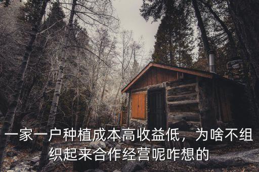 一家一戶種植成本高收益低，為啥不組織起來合作經(jīng)營呢咋想的