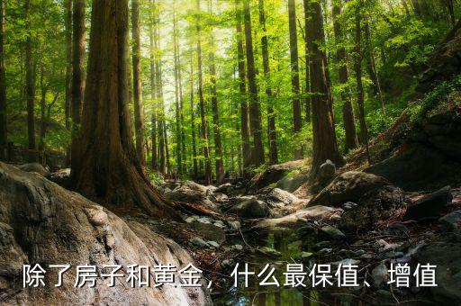 除了房子和黃金，什么最保值、增值