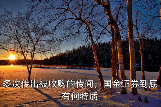 多次傳出被收購的傳聞，國金證券到底有何特質(zhì)