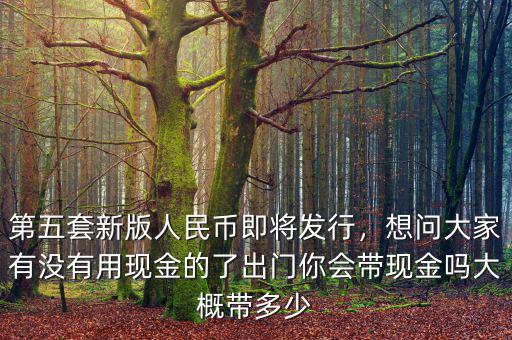 第五套新版人民幣即將發(fā)行，想問(wèn)大家有沒(méi)有用現(xiàn)金的了出門(mén)你會(huì)帶現(xiàn)金嗎大概帶多少
