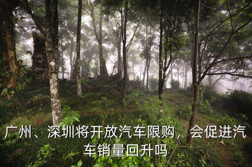 廣州、深圳將開放汽車限購，會促進(jìn)汽車銷量回升嗎