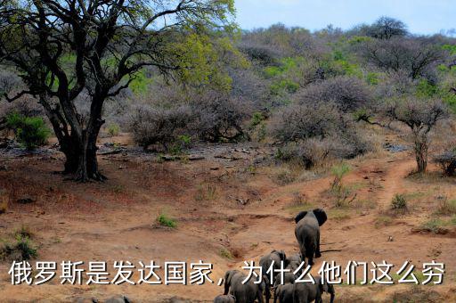 俄羅斯是發(fā)達(dá)國家，為什么他們這么窮