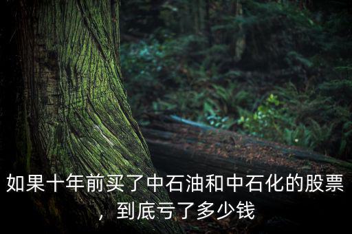 如果十年前買了中石油和中石化的股票，到底虧了多少錢