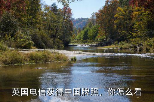英國(guó)電信獲得中國(guó)牌照，你怎么看