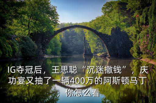 IG奪冠后，王思聰“沉迷撒錢”，慶功宴又抽了一輛400萬的阿斯頓馬丁，你怎么看