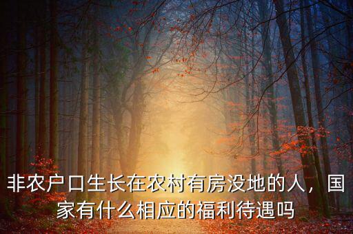 非農(nóng)戶(hù)口生長(zhǎng)在農(nóng)村有房沒(méi)地的人，國(guó)家有什么相應(yīng)的福利待遇嗎