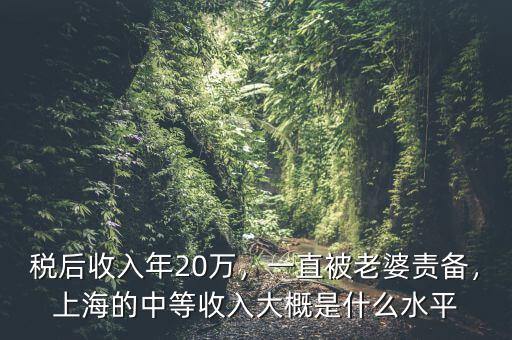 稅后收入年20萬，一直被老婆責(zé)備，上海的中等收入大概是什么水平