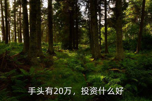 手頭有20萬，投資什么好