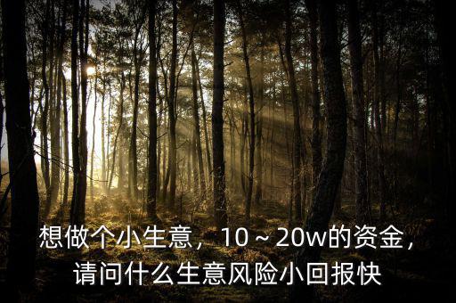 想做個小生意，10～20w的資金，請問什么生意風險小回報快