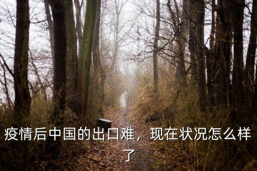 疫情后中國的出口難，現(xiàn)在狀況怎么樣了
