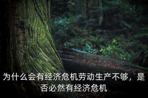 為什么會有經(jīng)濟(jì)危機(jī)勞動生產(chǎn)不夠，是否必然有經(jīng)濟(jì)危機(jī)