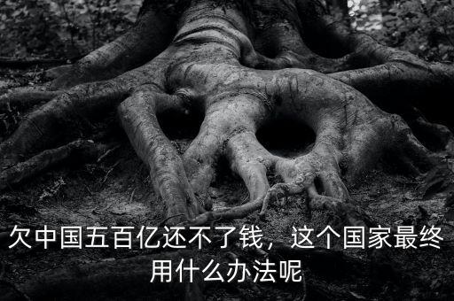 欠中國五百億還不了錢，這個國家最終用什么辦法呢