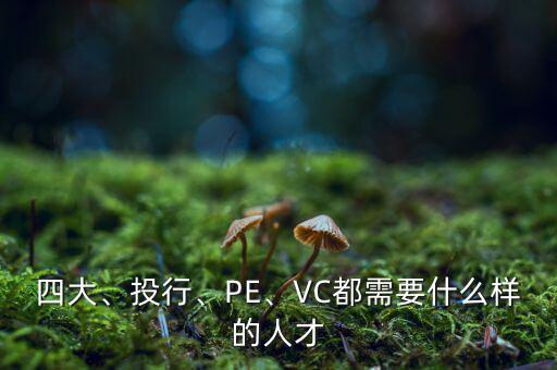 四大、投行、PE、VC都需要什么樣的人才