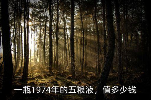一瓶1974年的五糧液，值多少錢