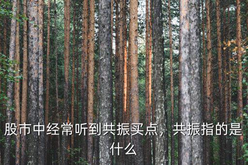 股市中經(jīng)常聽到共振買點(diǎn)，共振指的是什么