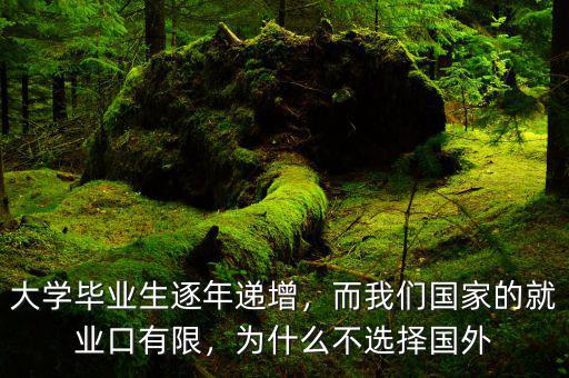 大學(xué)畢業(yè)生逐年遞增，而我們國家的就業(yè)口有限，為什么不選擇國外