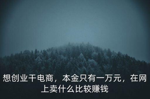 想創(chuàng)業(yè)干電商，本金只有一萬元，在網(wǎng)上賣什么比較賺錢
