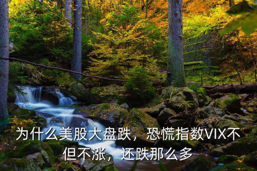 為什么美股大盤(pán)跌，恐慌指數(shù)VIX不但不漲，還跌那么多